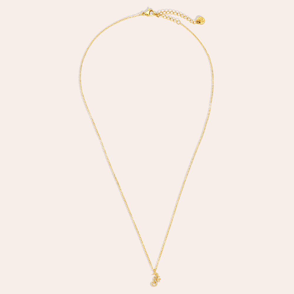 40cm Diamond Sea Horse Edelstahl Halskette    