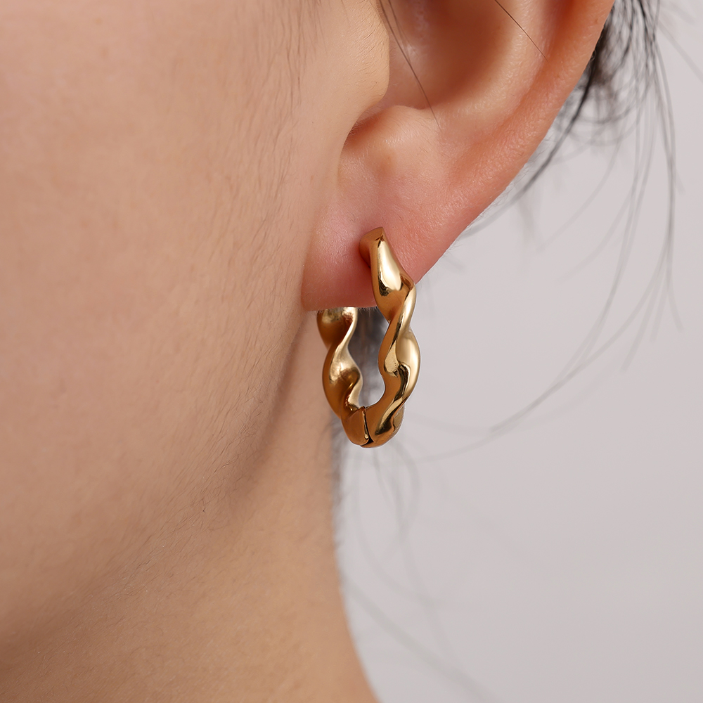2.5cm Classic Twist Hoop Stainless Steel Earrings      