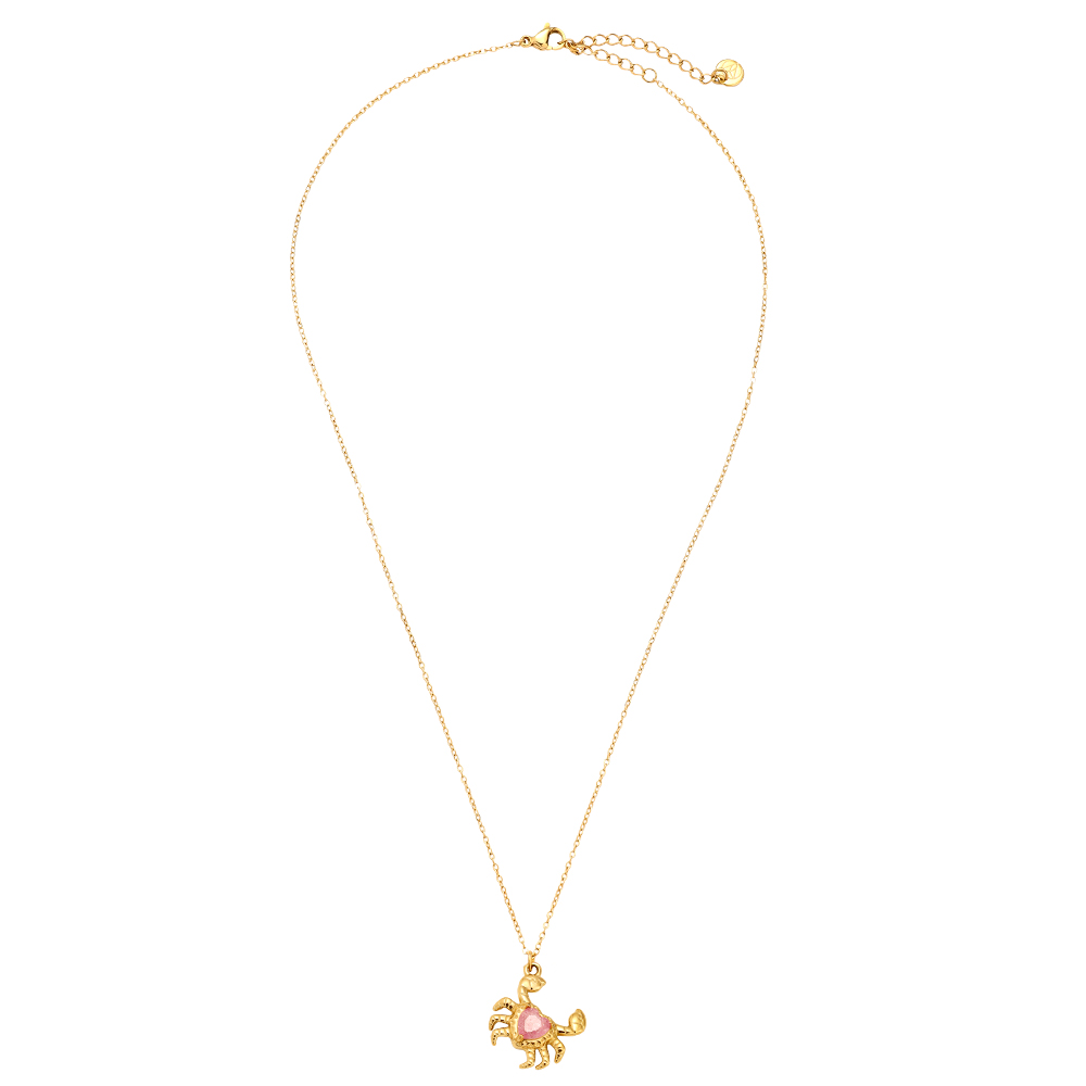 43cm Crab And Diamond Edelstahl Halskette     