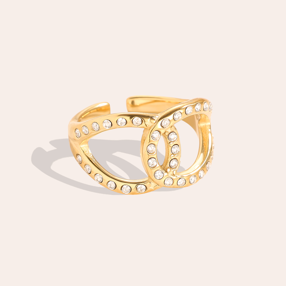 Two Diamond Drop Cycle Edelstahl Ring      