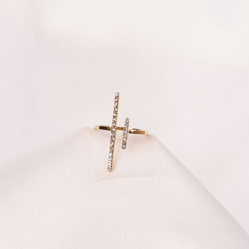 Delfi Edelstahl Ring