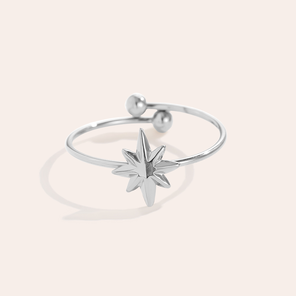Sharp Star Edelstahl Ring     