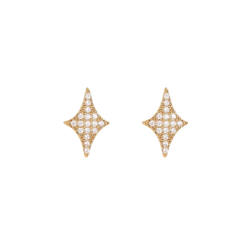 13mm Blink Stern Zirkonia Edelstahl Ohrringe
