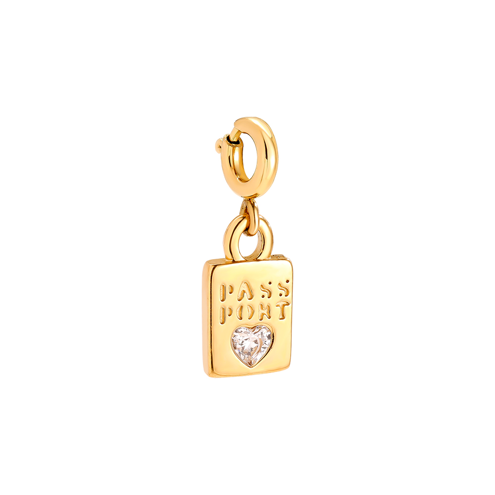 10mm Spring Clasp Nice Passport Edelstahl Pendant     