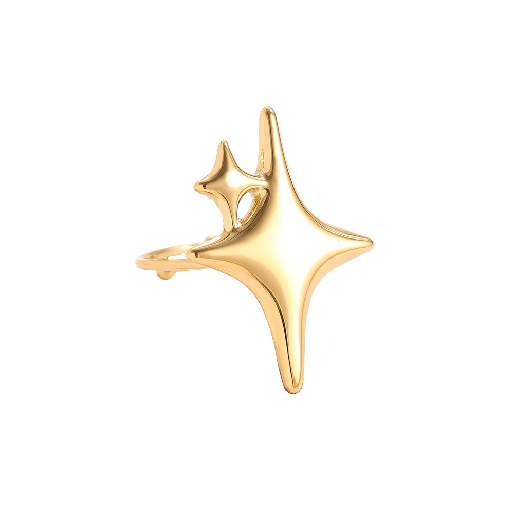 Two Stars Edelstahl Ring  