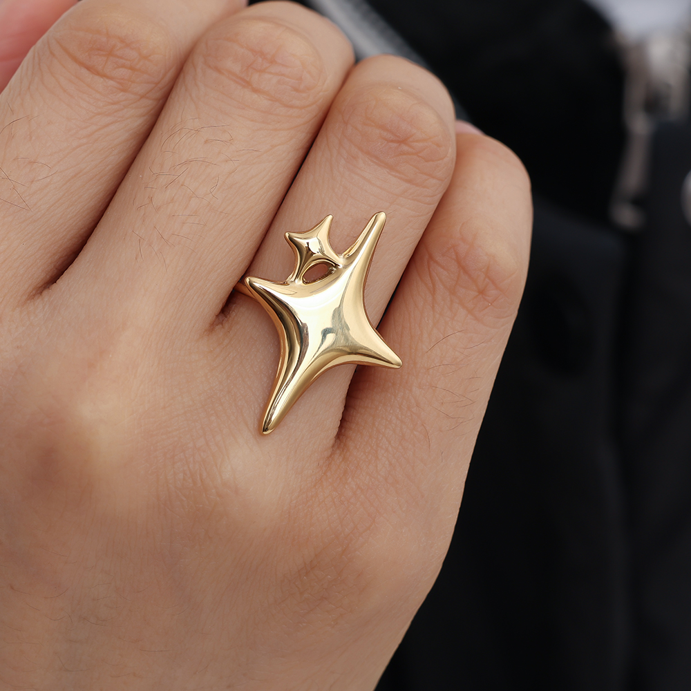 Two Stars Edelstahl Ring  